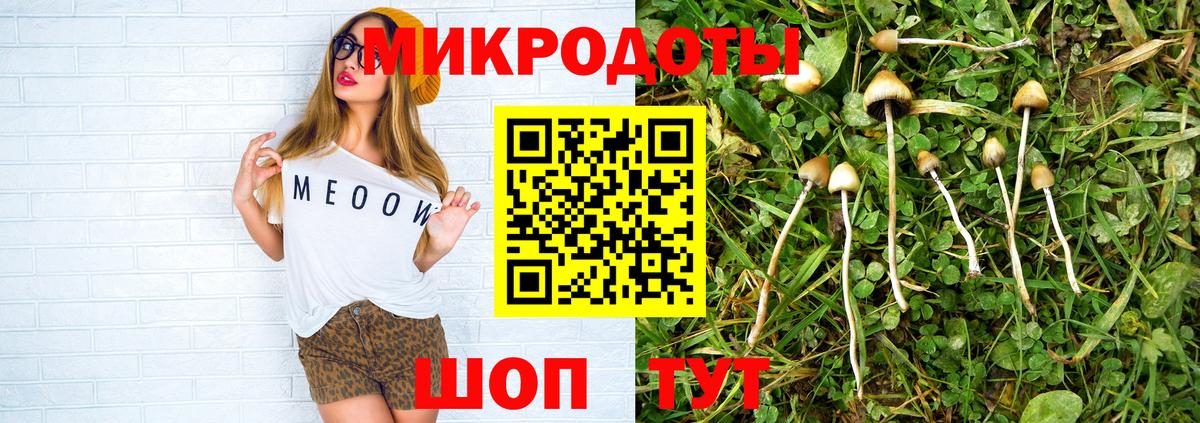 Псилоцибиновые грибы GOLDEN TEACHER Саяногорск